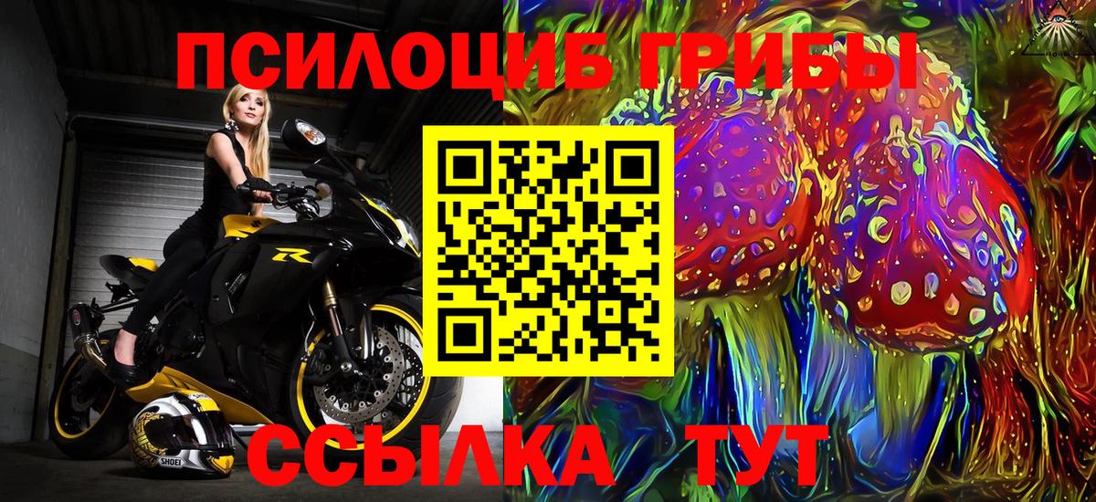 Псилоцибиновые грибы MAGIC MUSHROOMS  Вход с VPN  Керчь 
